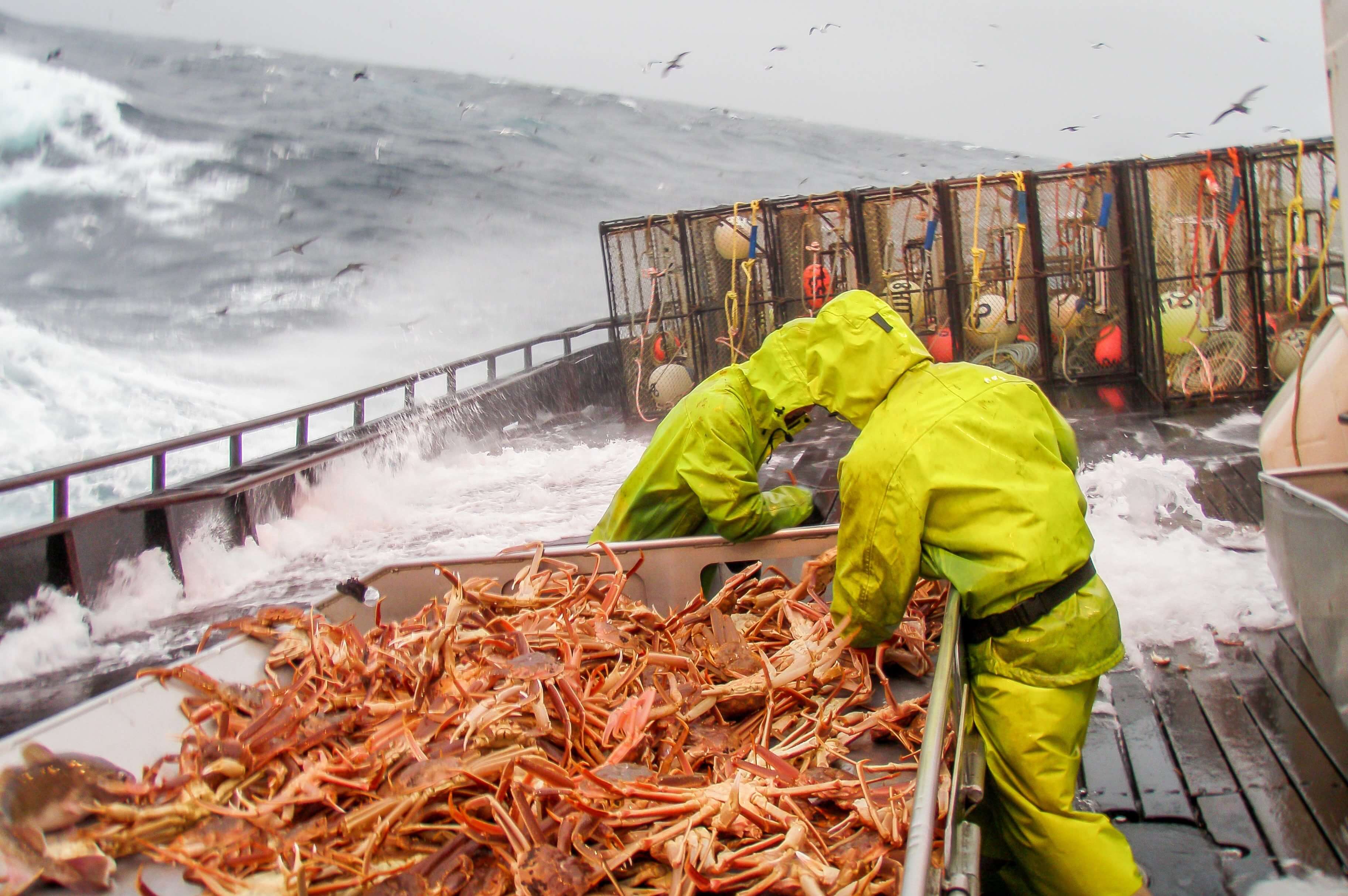 oplossing voor droging van vissersuitrustingen, overalls, visserslaarzen op trawlers